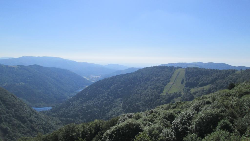 Camping De Masevaux Zewnętrze zdjęcie